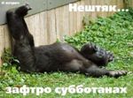 ������������� ������