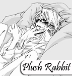  The-plush-rabbit
