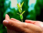 ������������� ������