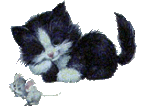 ������� Cimonca