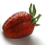  Young_Strawberry