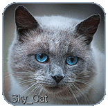  Sky__Cat