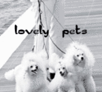  _Lovely_pets_