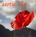  exotic_lily