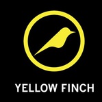  Yellow_Finch