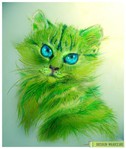  Greeen_cat