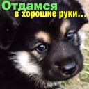 ������� ����������_�����_001