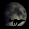  moonwolf