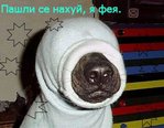 ������������� ������