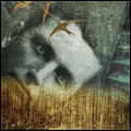 ������������� ������