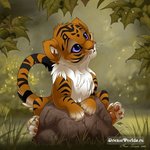 ������� ������������_�_���������������