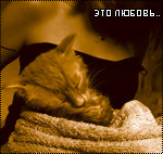 ������� untitled_06