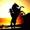 ������� Dark_Horsie