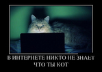 ������������� ������