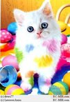 ������� Jenechka_Solar