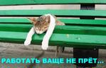 ������� NeLizyn_TChK