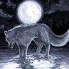������� el_ntwf
