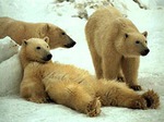 ������� _10_000_����