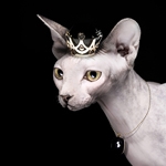 ������� Faun