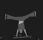 ������� Caprico_Orn