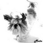 ������� Matochka