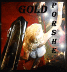  Gold_Porshe