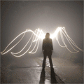 ������� Fenix_of_Shadow