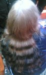 ������� Mad_raccoon