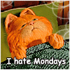 ������� Garfield_2