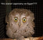 ������� ��������_��