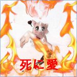������� Leksor-chan