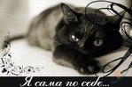 ������� x-lightt