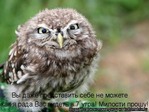 ������� matylida