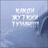 ������� Daive