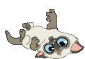������� GERDA_777