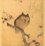  Sun-owl