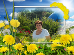 ������� nata21816