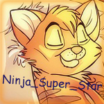  Ninja_Super_Star