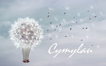 Профиль Cymylau