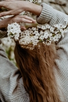 ������� Cymylau
