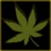 ������� dutch_hemp