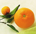  OrangeSheets