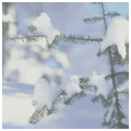 ������� swe-ets