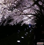 ������� Haru_J