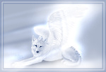 ������� Kitty_Jhons