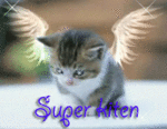  super_kiten