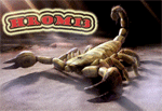 ������� Hrom13