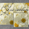 ������������� ������