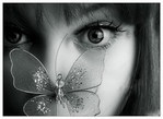 ������� ImAlice