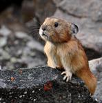 ������������� ������